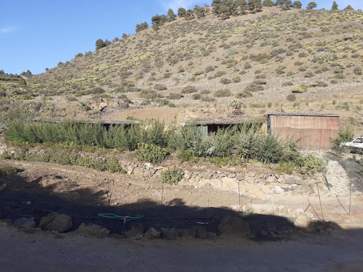 Casa Rural Los Santillos El Pinar  Экстерьер фото