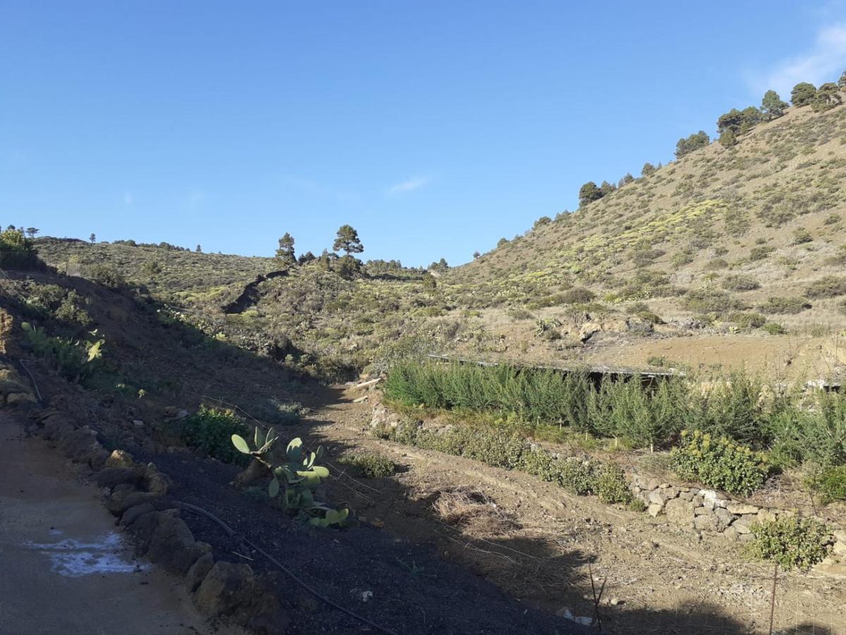 Casa Rural Los Santillos El Pinar  Экстерьер фото